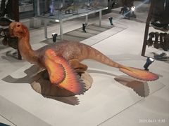 -国家自然博物馆