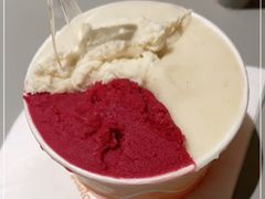 -Dip in Gelato(富民路店)