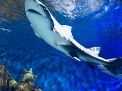 -石林冰雪海洋世界