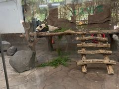 -宁波野生动物园