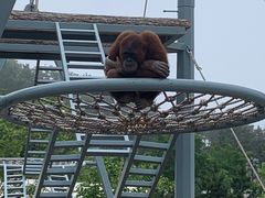 -西霞口神雕山野生动物世界