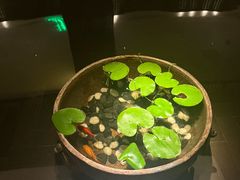 -曲水兰亭(北京四惠店)