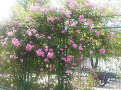 android_upload_pic-古韵山庄