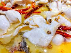 老坛酸菜砂锅鱼-青花椒花椒鱼(合生汇店)