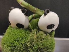 -眉州东坡(东坝店)