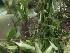 -上海昆虫博物馆