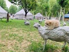 -九十九顶毡房(阜石路店)