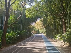 -苏州河梦清园环保主题公园