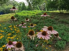 -永定河休闲森林公园