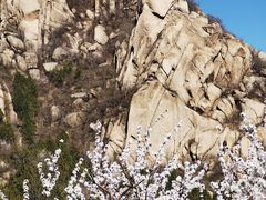 -北京凤凰岭