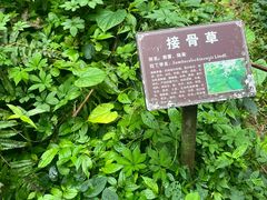 -百魔洞景区