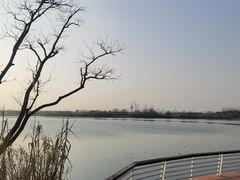 -贡湖湾湿地公园