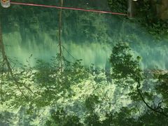 android_upload_pic-鼎湖山风景区