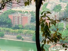 -滴水岩森林公园