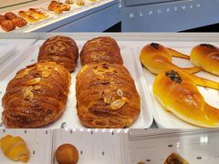 -BLACKSWAN黑天鹅(环球店)