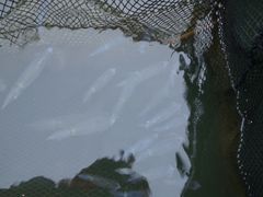 -海上驿站渔家菜馆