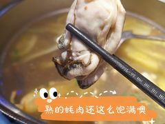 -千岛蚝高压锅生蚝·人参火锅(白云万达店)