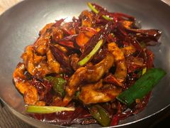 -毛辣果·酸(OHA复兴西路店)