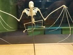 -香港科学馆