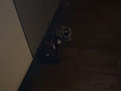 -紫莲花足道(柯桥古镇店)