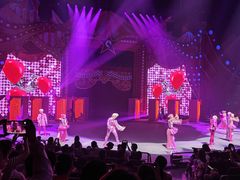 -珠海横琴长隆《卡卡虎奇遇记》