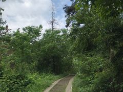 -青龙山国家森林公园