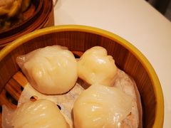 -同乐轩港式早茶
