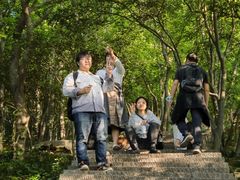 -紫金山山顶公园