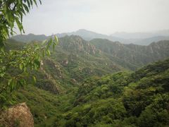 -大岭沟猕猴桃谷风景区