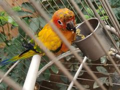 -南宫五洲植物乐园