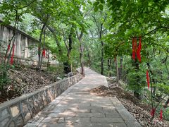 -宝通禅寺