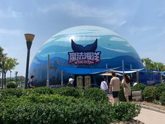-海合安天津极地海洋公园