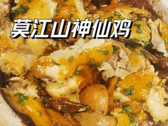 生态砂锅鸡-世外桃源农庄·德清土菜(兴康南路店)