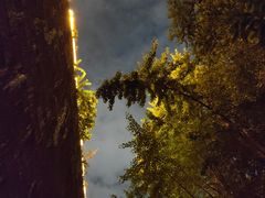 -东水关遗址公园