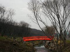 -羊山湖公园