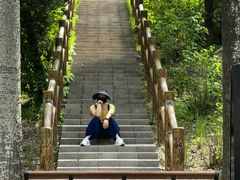 -白水寺森林公园