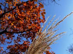 -北京上方山国家森林公园