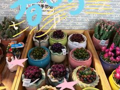 -瑞虹新天地月亮湾