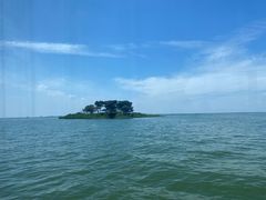 -滕州微山湖红荷湿地景区