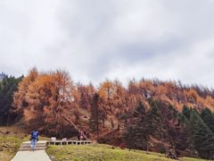 -硗碛藏寨·神木垒景区