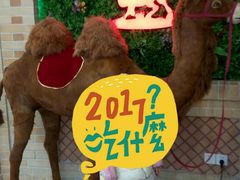 -北疆饭店(大运河博物馆宝龙店)