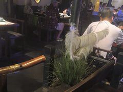 -绿茶餐厅(深圳龙华天虹购物中心店)