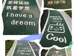 -王借岗森林公园
