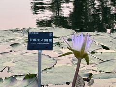 -上海植物园-4号门售票处