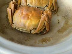 母闸蟹-八府香鸭·啫啫煲(华山路店)