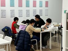 -常青藤国际象棋(新奥店)