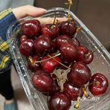 去山姆办年货啦！2J的车厘子真的又大又甜