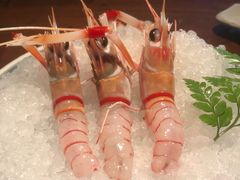 -Mr.Fish鱼鲜生海鲜放题(高德置地冬广场店)