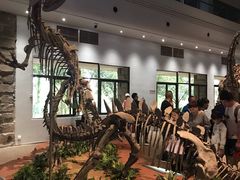 -自贡恐龙博物馆