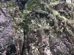 -磐安十八涡风景区
